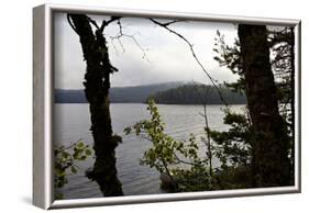 Wild landscape, Lelång Lake, Dalsland, Götaland, Sweden-Andrea Lang-Framed Photographic Print