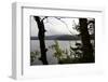 Wild landscape, Lelång Lake, Dalsland, Götaland, Sweden-Andrea Lang-Framed Photographic Print