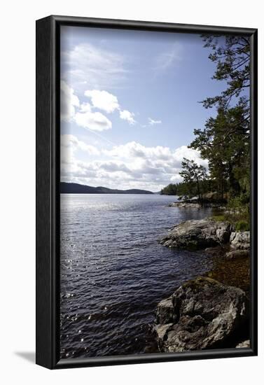 Wild landscape on Stora Le Lake, Dalsland, Götaland, Sweden-Andrea Lang-Framed Photographic Print