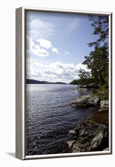 Wild landscape on Stora Le Lake, Dalsland, Götaland, Sweden-Andrea Lang-Framed Photographic Print