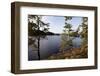 Wild landscape, Stora Le Lake, Dalsland, Götaland, Sweden-Andrea Lang-Framed Photographic Print