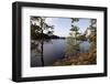 Wild landscape, Stora Le Lake, Dalsland, Götaland, Sweden-Andrea Lang-Framed Photographic Print