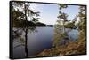 Wild landscape, Stora Le Lake, Dalsland, Götaland, Sweden-Andrea Lang-Framed Stretched Canvas