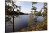 Wild landscape, Stora Le Lake, Dalsland, Götaland, Sweden-Andrea Lang-Stretched Canvas