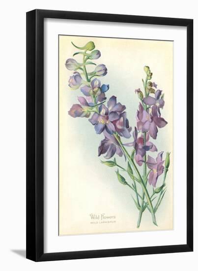 Wild Larkspur-null-Framed Art Print