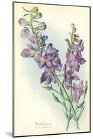 Wild Larkspur-null-Mounted Art Print