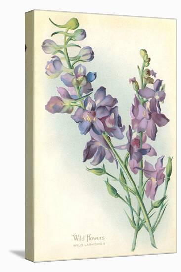 Wild Larkspur-null-Stretched Canvas