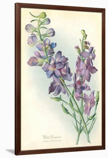 Wild Larkspur-null-Framed Art Print