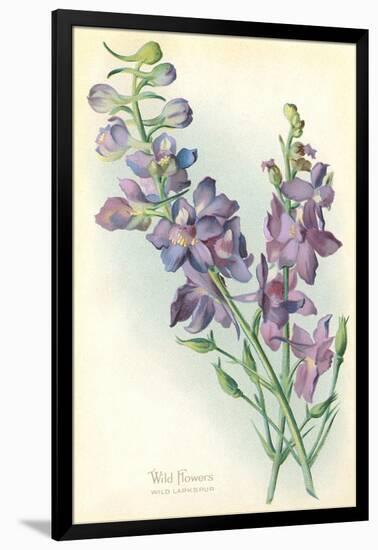 Wild Larkspur-null-Framed Art Print