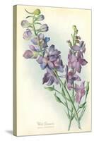 Wild Larkspur-null-Stretched Canvas