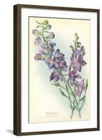 Wild Larkspur-null-Framed Art Print