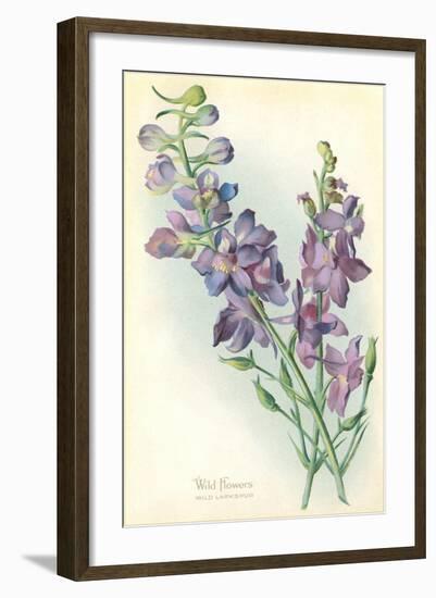 Wild Larkspur-null-Framed Art Print