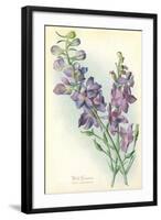 Wild Larkspur-null-Framed Art Print