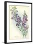 Wild Larkspur-null-Framed Art Print