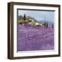 Wild Lavender, Provence-Hazel Barker-Framed Giclee Print