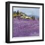 Wild Lavender, Provence-Hazel Barker-Framed Giclee Print