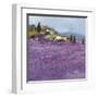 Wild Lavender, Provence-Hazel Barker-Framed Giclee Print