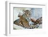 Wild Leopard-sasilsolutions-Framed Photographic Print