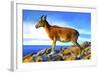 Wild Life 2-Ata Alishahi-Framed Giclee Print