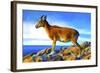 Wild Life 2-Ata Alishahi-Framed Giclee Print