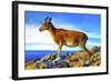 Wild Life 2-Ata Alishahi-Framed Giclee Print