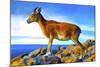 Wild Life 2-Ata Alishahi-Mounted Giclee Print