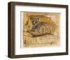 Wild Life II-Joadoor-Framed Art Print