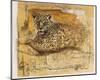 Wild Life II-Joadoor-Mounted Art Print