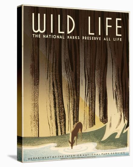 Wild Life; The National Parks Preserve All Life, ca. 1936-1940-Frank S. Nicholson-Stretched Canvas