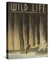 Wild Life-The Vintage Collection-Stretched Canvas