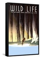 Wild Life-Frank S. Nicholson-Framed Stretched Canvas