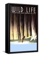 Wild Life-Frank S. Nicholson-Framed Stretched Canvas