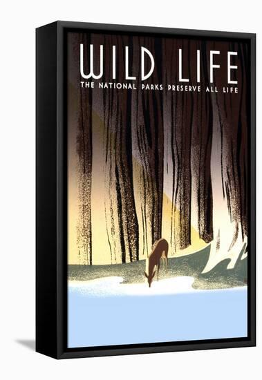 Wild Life-Frank S. Nicholson-Framed Stretched Canvas