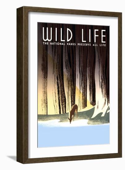 Wild Life-Frank S. Nicholson-Framed Art Print