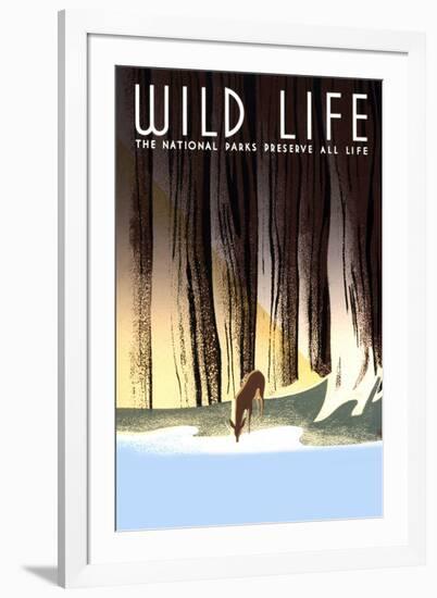 Wild Life-Frank S. Nicholson-Framed Art Print