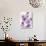 Wild Lilac-Sarah Von Dreele-Giclee Print displayed on a wall