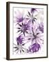 Wild Lilac-Sarah Von Dreele-Framed Giclee Print