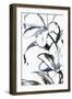 Wild Lily I-PI Studio-Framed Art Print