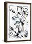 Wild Lily II-PI Studio-Framed Art Print