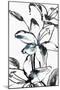 Wild Lily II-PI Studio-Mounted Art Print