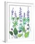 Wild Lupine-Beverly Dyer-Framed Art Print