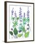 Wild Lupine-Beverly Dyer-Framed Art Print