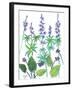 Wild Lupine-Beverly Dyer-Framed Art Print