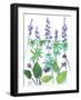 Wild Lupine-Beverly Dyer-Framed Art Print