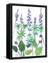 Wild Lupine-Beverly Dyer-Framed Stretched Canvas