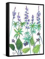 Wild Lupine-Beverly Dyer-Framed Stretched Canvas