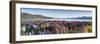 Wild Lupins, Lake Tekapo, Mackenzie Country, Canterbury, South Island, New Zealand-Doug Pearson-Framed Photographic Print