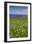 Wild meadowlands on Chiloe Island, Patagonia, Chile, South America-Alex Robinson-Framed Photographic Print