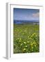 Wild meadowlands on Chiloe Island, Patagonia, Chile, South America-Alex Robinson-Framed Photographic Print