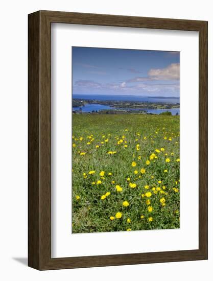 Wild meadowlands on Chiloe Island, Patagonia, Chile, South America-Alex Robinson-Framed Photographic Print